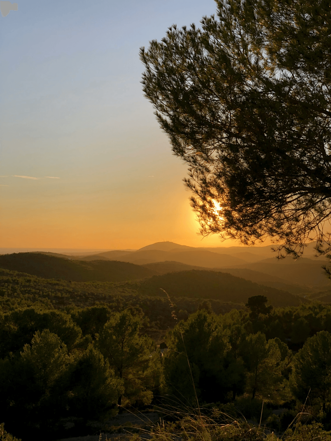 Intervistare gli espatriati di Olivella