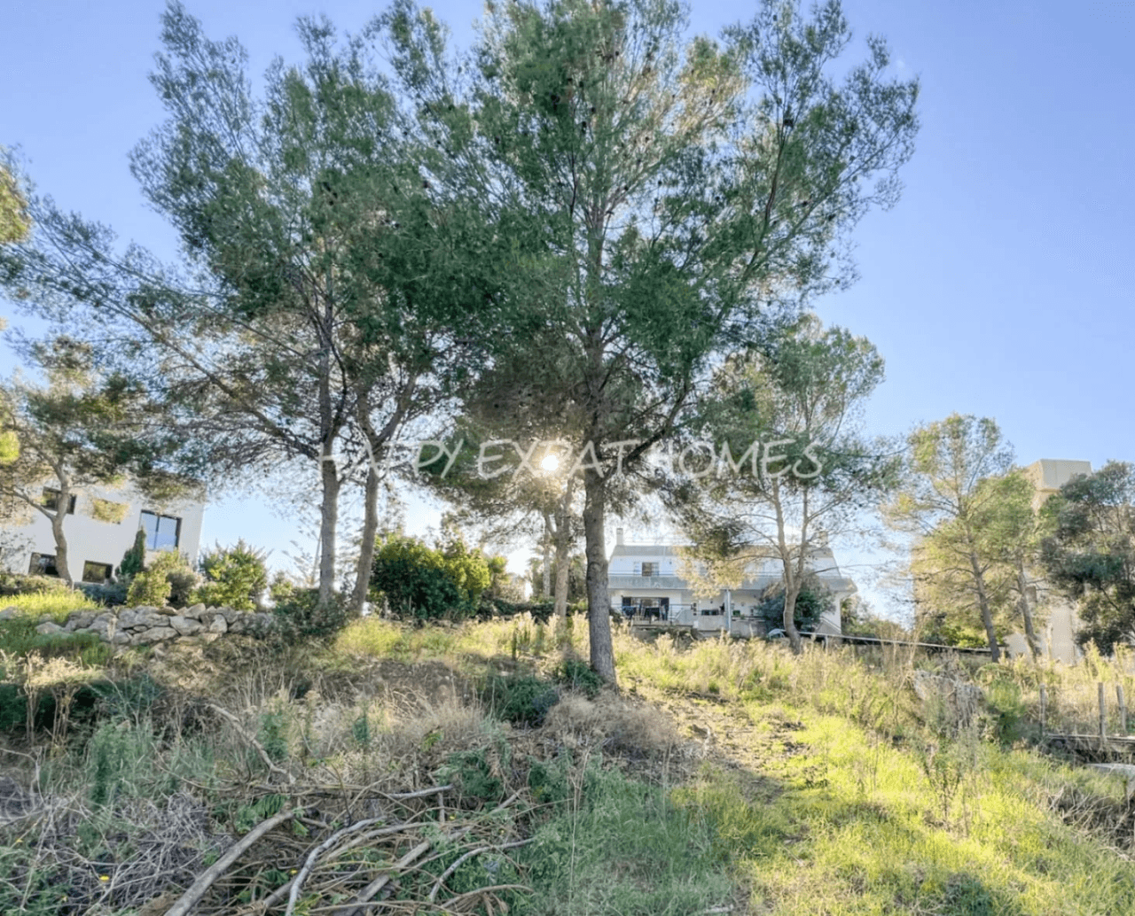 Big villa with private woods and tourist license