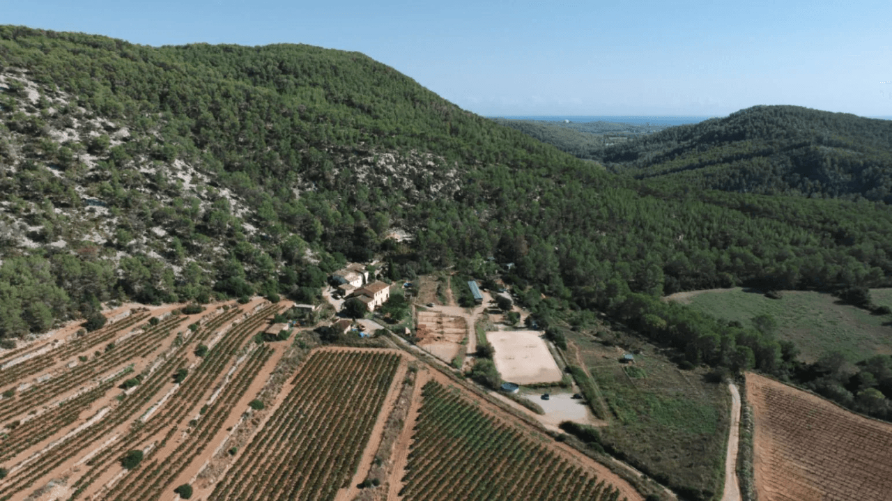 Beautiful Country Estate with endless opportunities near Sitges