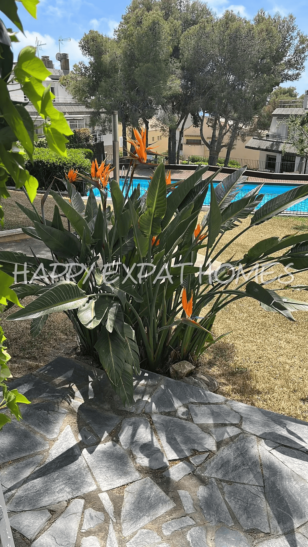 Big villa with private woods and tourist license