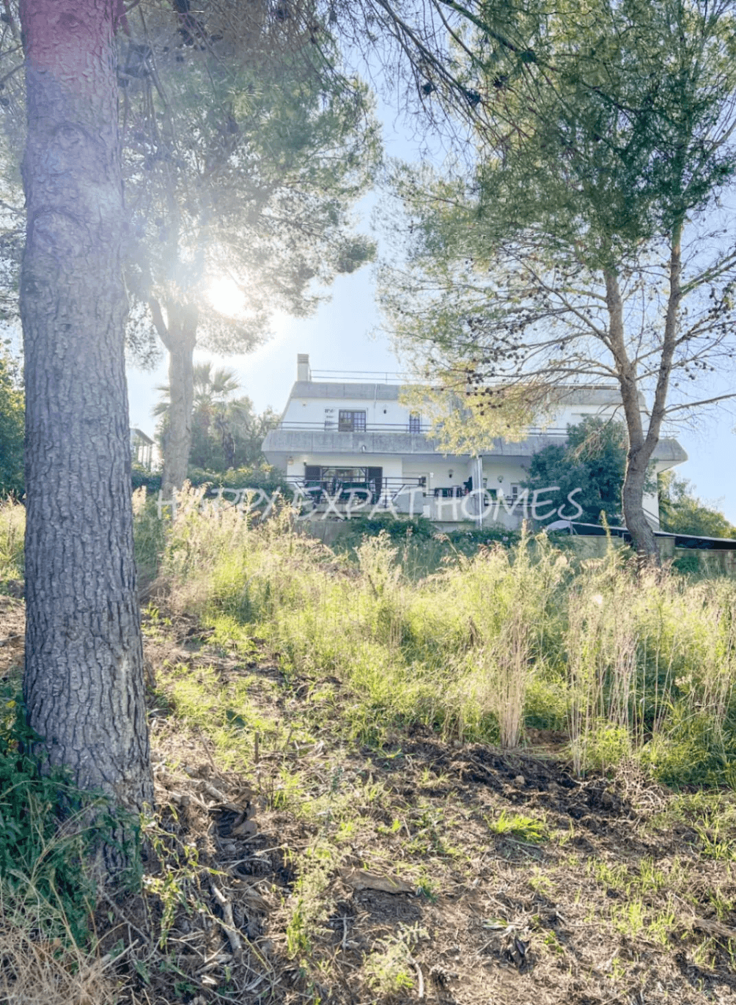 Big villa with private woods and tourist license
