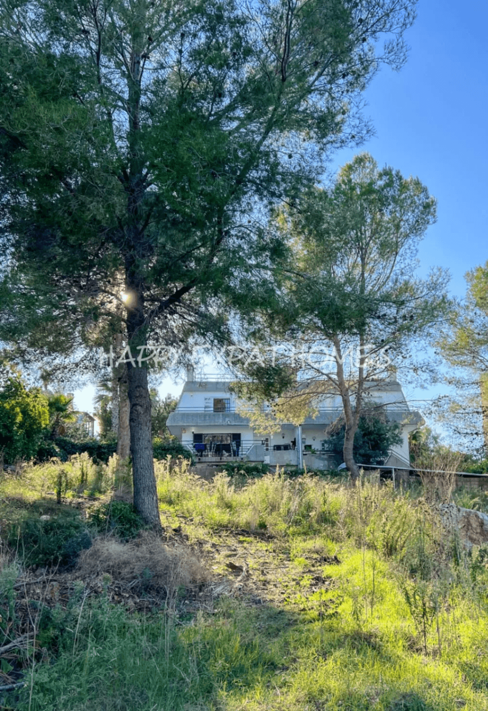 Big villa with private woods and tourist license