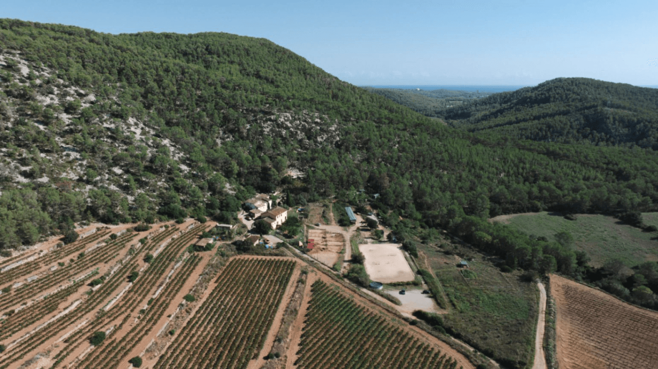 Beautiful Country Estate with endless opportunities near Sitges