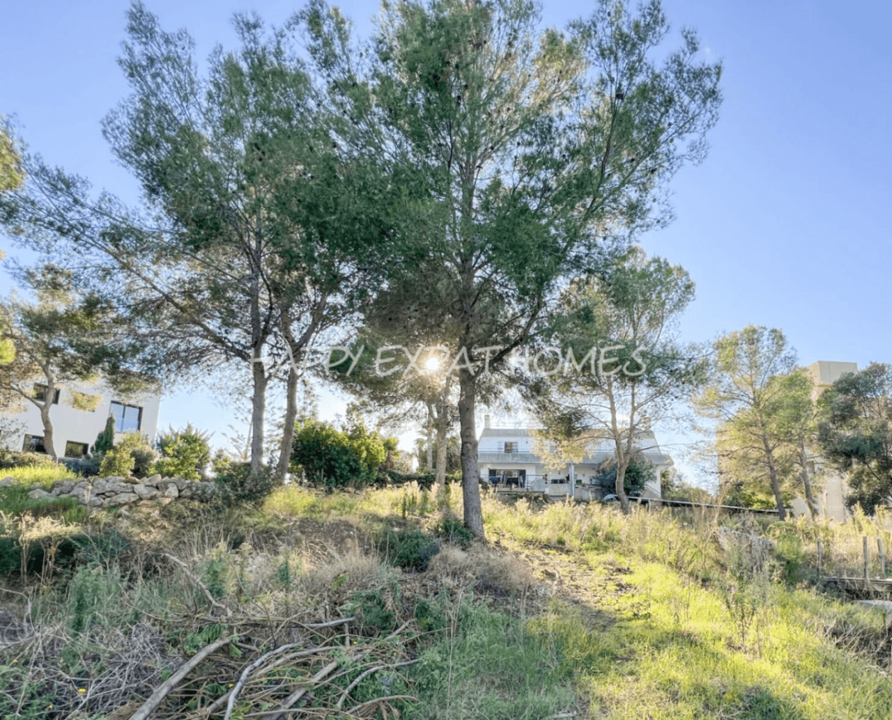 Big villa with private woods and tourist license