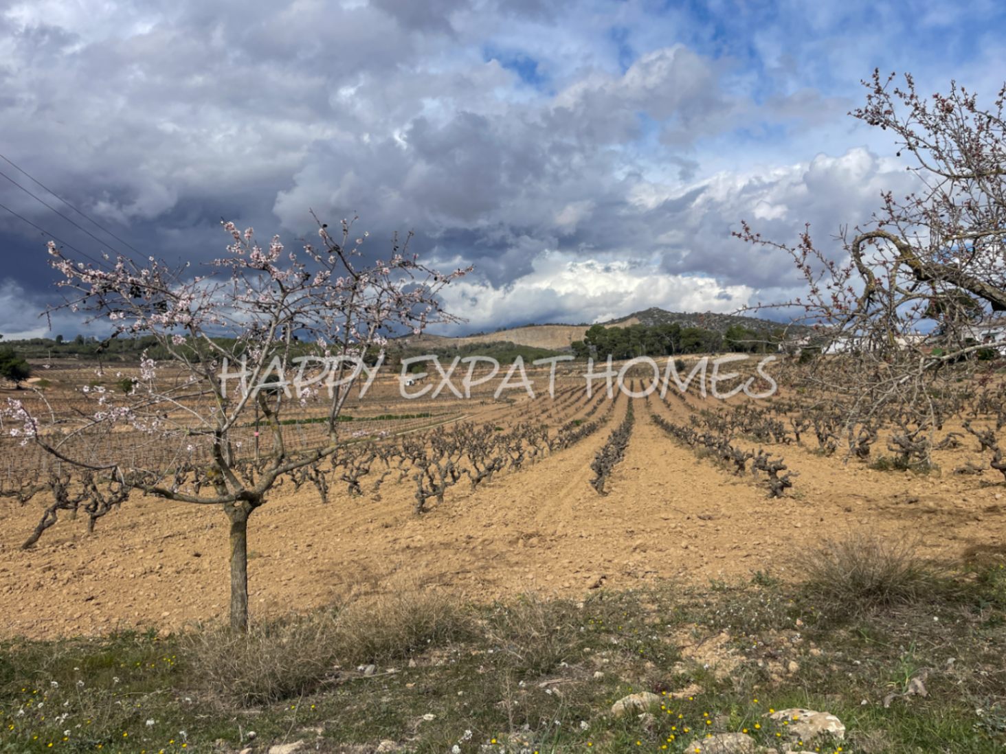 encantadora casa de pueblo en la naturaleza cerca de Sitges